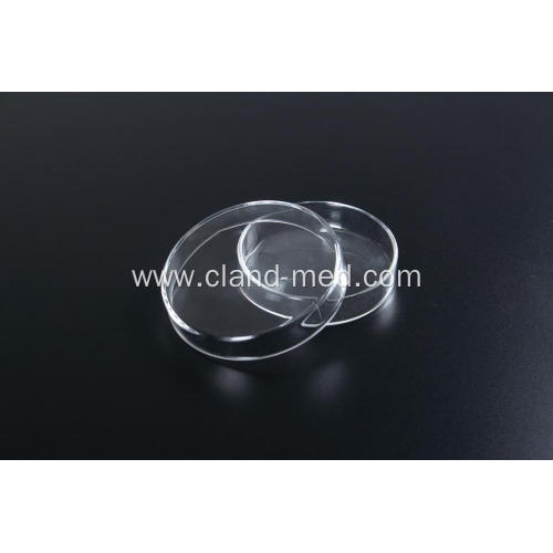 Glass Petri Dish